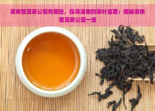 湖南普洱茶公司有哪些，探寻湖南的茶叶宝藏：揭秘湖南普洱茶公司一览