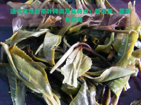 适合煮饮的茶叶种类及其特点：普洱茶、黑茶、寿眉等