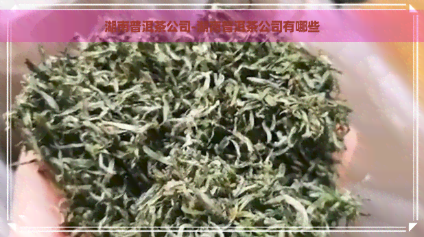 湖南普洱茶公司-湖南普洱茶公司有哪些