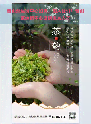 普洱茶运销中心招聘，加入我们！普洱茶运销中心诚聘优秀人才