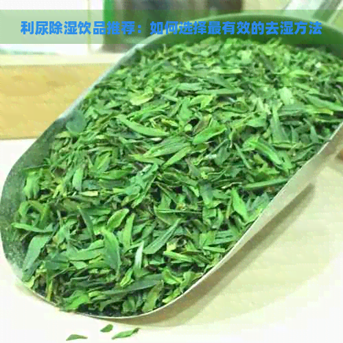 利尿除湿饮品推荐：如何选择最有效的去湿方法