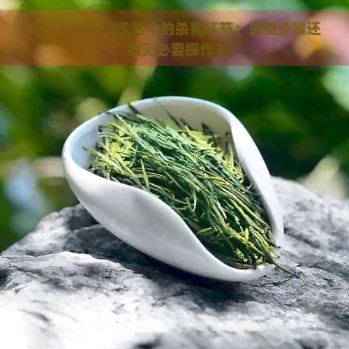 探究红茶制作工艺中的杀青环节：关键步骤还是无必要操作？