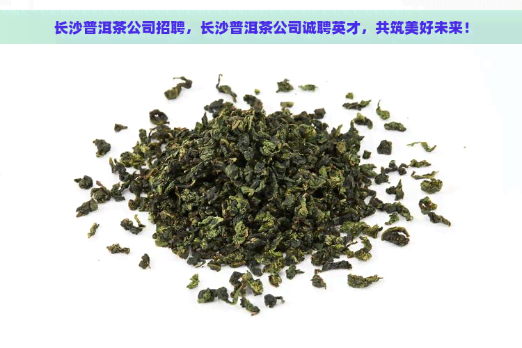 长沙普洱茶公司招聘，长沙普洱茶公司诚聘英才，共筑美好未来！