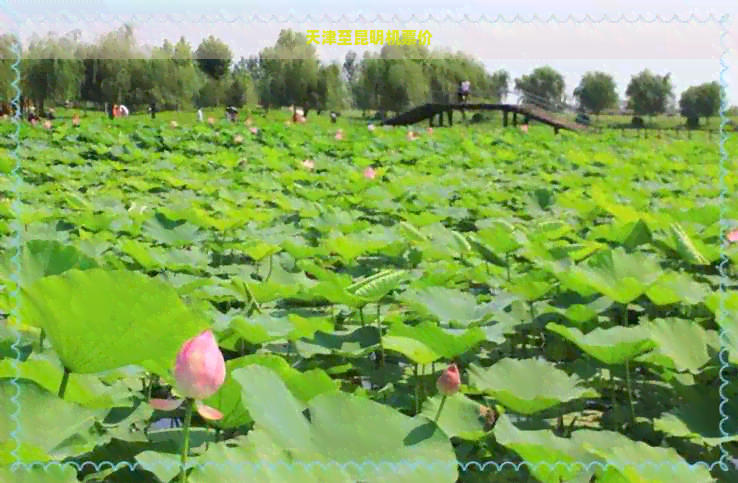 天津至昆明机票价