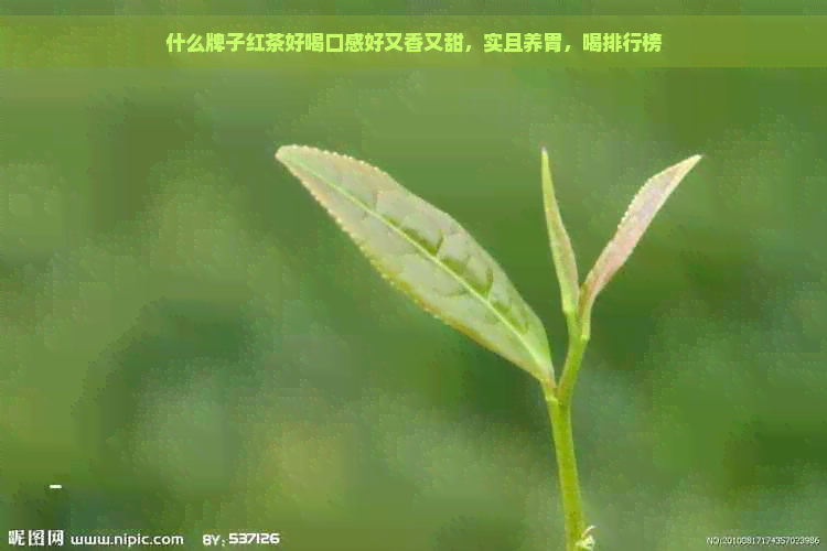 什么牌子红茶好喝口感好又香又甜，实且养胃，喝排行榜