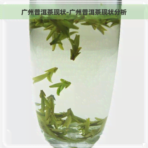 广州普洱茶现状-广州普洱茶现状分析