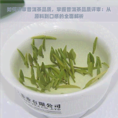 如何评审普洱茶品质，掌握普洱茶品质评审：从原料到口感的全面解析