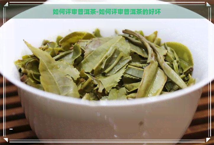 如何评审普洱茶-如何评审普洱茶的好坏