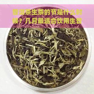 普洱茶生茶的节是什么时候？几月最适合饮用生普洱茶？