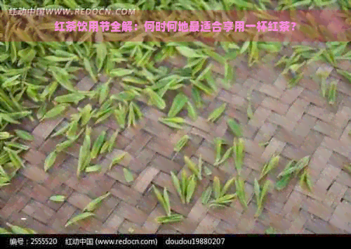 红茶饮用节全解：何时何地最适合享用一杯红茶？