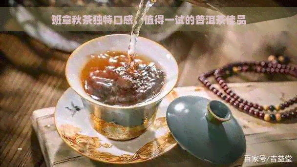 班章秋茶独特口感，值得一试的普洱茶佳品