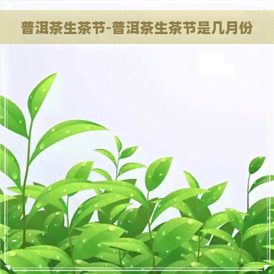 普洱茶生茶节-普洱茶生茶节是几月份