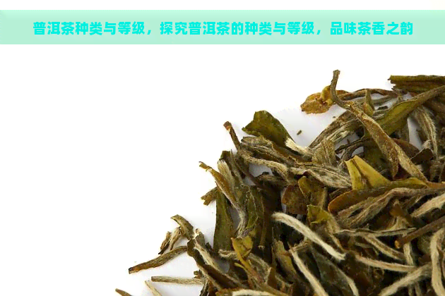 普洱茶种类与等级，探究普洱茶的种类与等级，品味茶香之韵