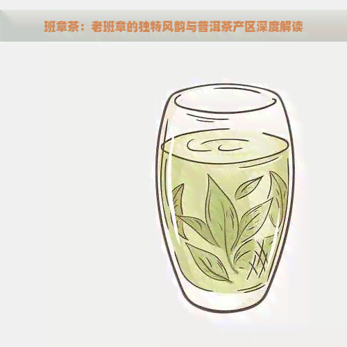 班章茶：老班章的独特风韵与普洱茶产区深度解读