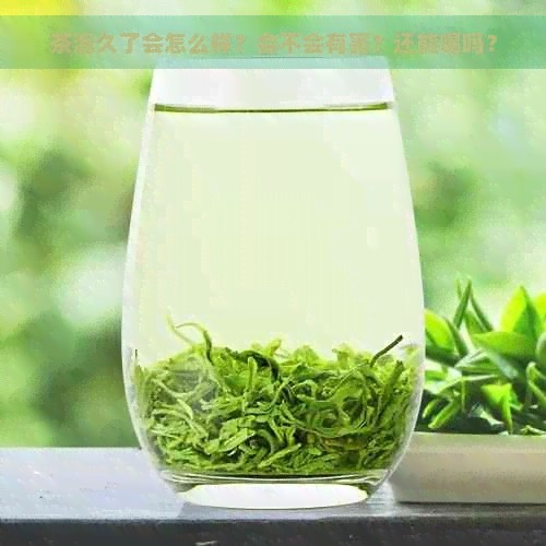 茶泡久了会怎么样？会不会有害？还能喝吗？