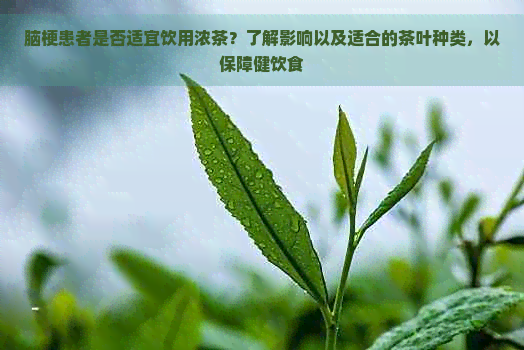 脑梗患者是否适宜饮用浓茶？了解影响以及适合的茶叶种类，以保障健饮食