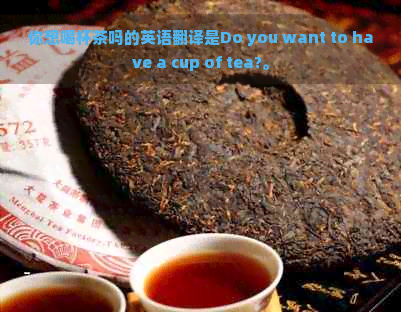 你想喝杯茶吗的英语翻译是Do you want to have a cup of tea?。