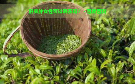 肝囊肿女性可以喝茶吗？ - 百度百科