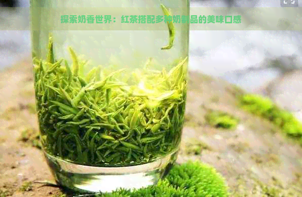 探索奶香世界：红茶搭配多种奶制品的美味口感