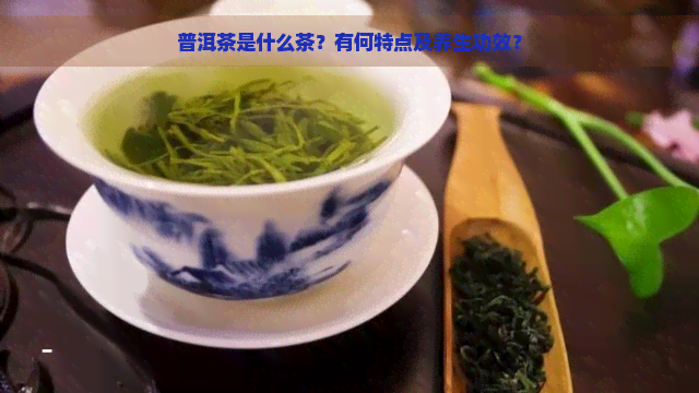 普洱茶是什么茶？有何特点及养生功效？