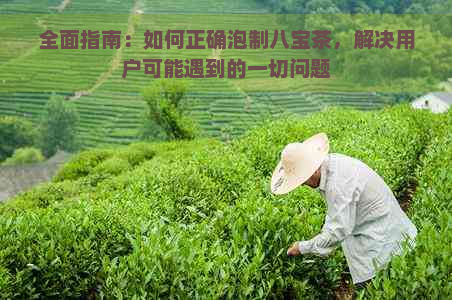 全面指南：如何正确泡制八宝茶，解决用户可能遇到的一切问题