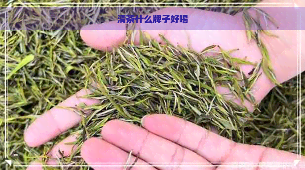 清茶什么牌子好喝