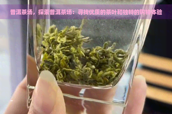 普洱茶场，探索普洱茶场：寻找优质的茶叶和独特的购物体验