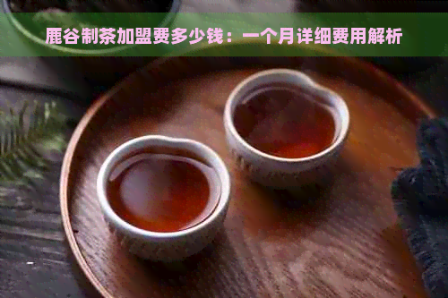 鹿谷制茶加盟费多少钱：一个月详细费用解析