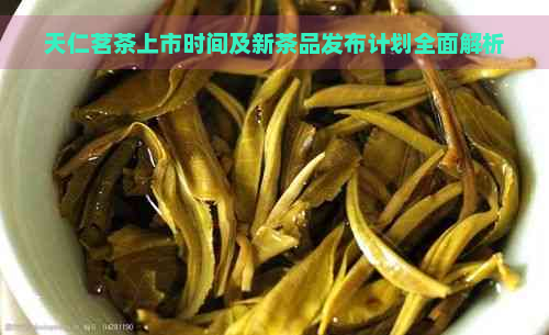 天仁茗茶上市时间及新茶品发布计划全面解析