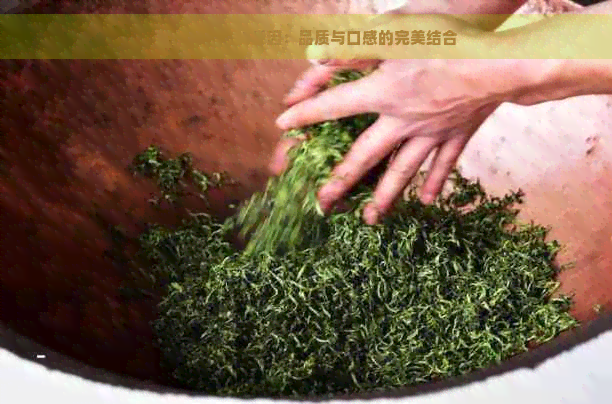 高山茶好喝的原因：品质与口感的完美结合