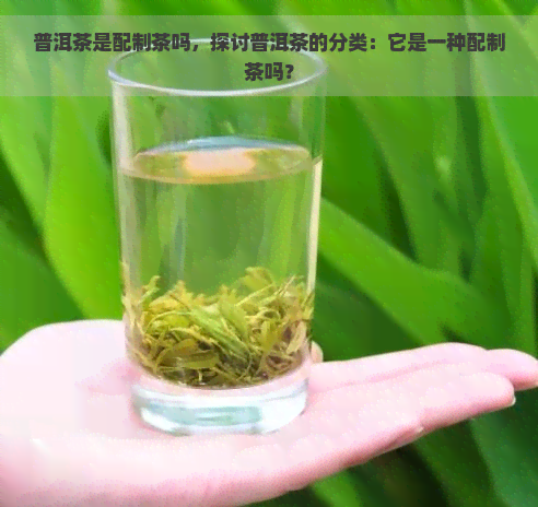 普洱茶是配制茶吗，探讨普洱茶的分类：它是一种配制茶吗？