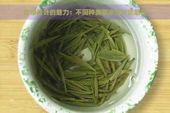 探索茶叶的魅力：不同种类茶冲泡次数解析