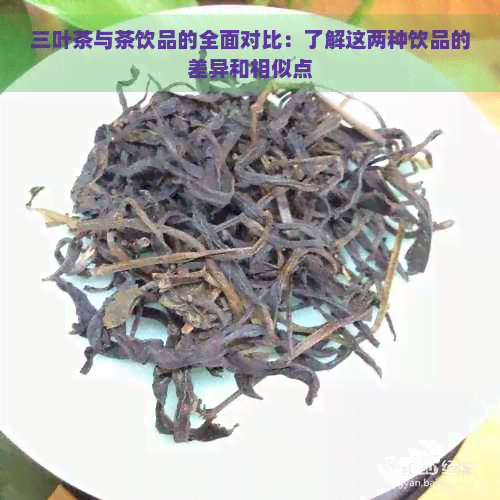 三叶茶与茶饮品的全面对比：了解这两种饮品的差异和相似点