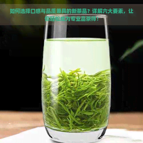 如何选择口感与品质兼具的新茶品？详解六大要素，让你轻松成为专业品茶师！