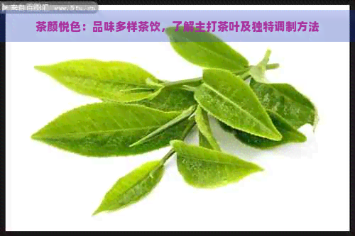 茶颜悦色：品味多样茶饮，了解主打茶叶及独特调制方法