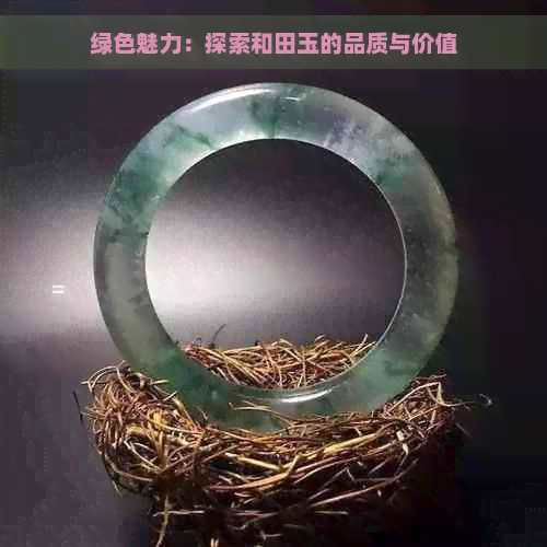 绿色魅力：探索和田玉的品质与价值