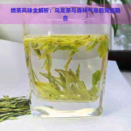 燃茶风味全解析：乌龙茶与森林气息的完美融合