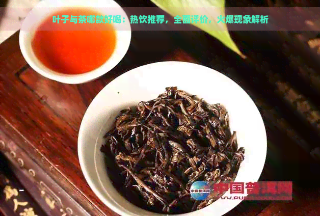 叶子与茶哪款好喝：热饮推荐，全面评价，火爆现象解析