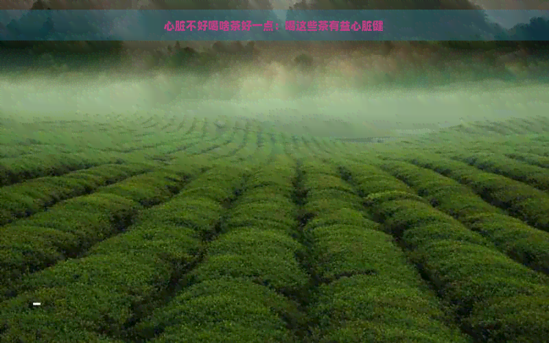 心脏不好喝啥茶好一点：喝这些茶有益心脏健