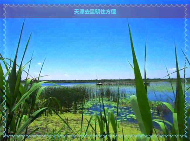 天津去昆明住方便