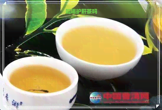 能喝护肝茶吗