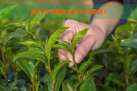 茶水冷冻喝安全吗？有吗？