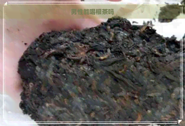 男性能喝根茶吗