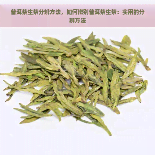 普洱茶生茶分辨方法，如何辨别普洱茶生茶：实用的分辨方法