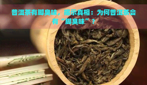 普洱茶有脚臭味，揭示真相：为何普洱茶会有“脚臭味”？