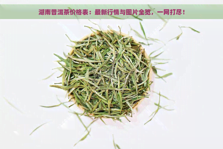 湖南普洱茶价格表：最新行情与图片全览，一网打尽！