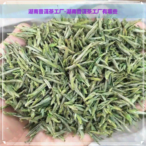 湖南普洱茶工厂-湖南普洱茶工厂有哪些