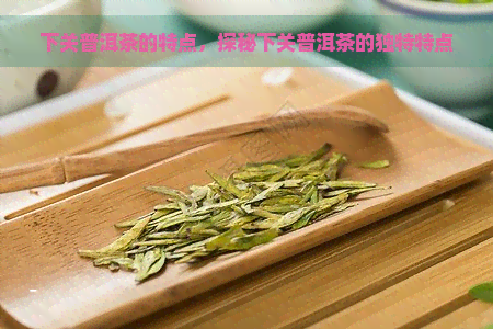 下关普洱茶的特点，探秘下关普洱茶的独特特点