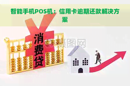 智能手机POS机：信用卡逾期还款解决方案