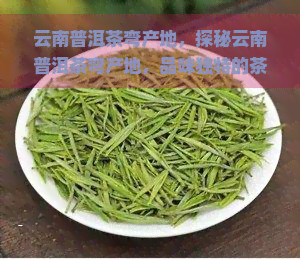 云南普洱茶弯产地，探秘云南普洱茶弯产地，品味独特的茶香世界